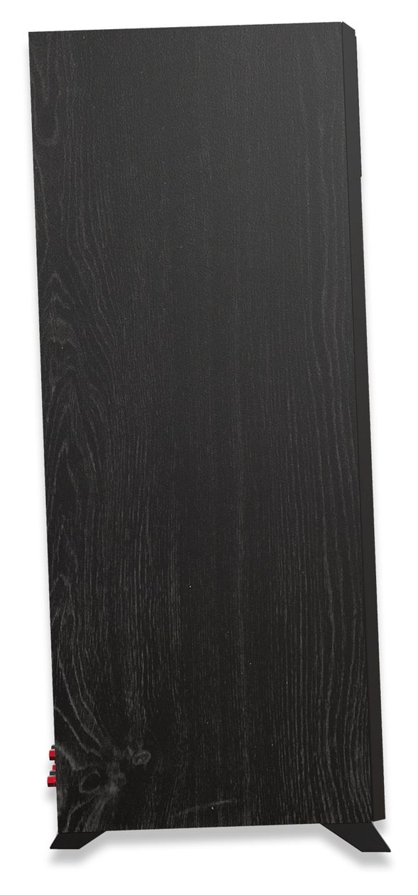 RP-6000F II 125 W Lautsprecher  (Schwarz) 