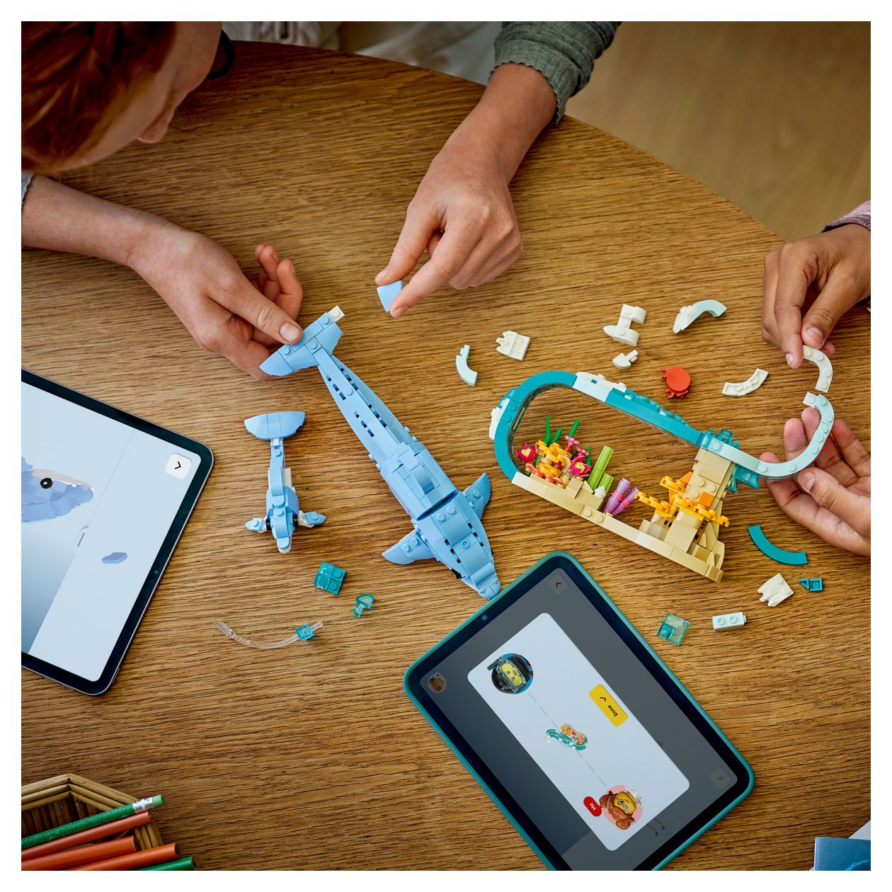 Meerestiere: Wunderschöne Delfine 