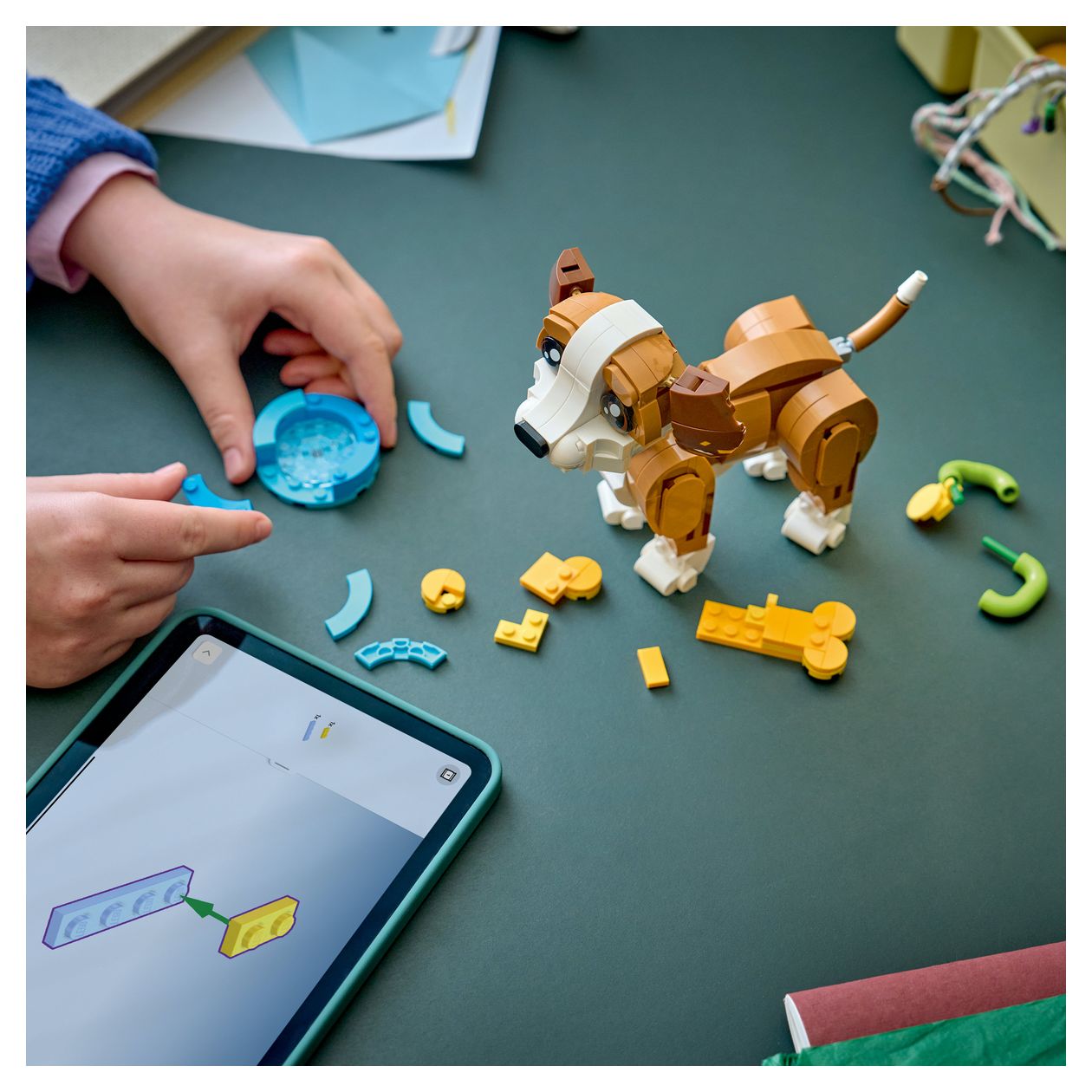 Niedliche Tiere: Verspielter Welpe 