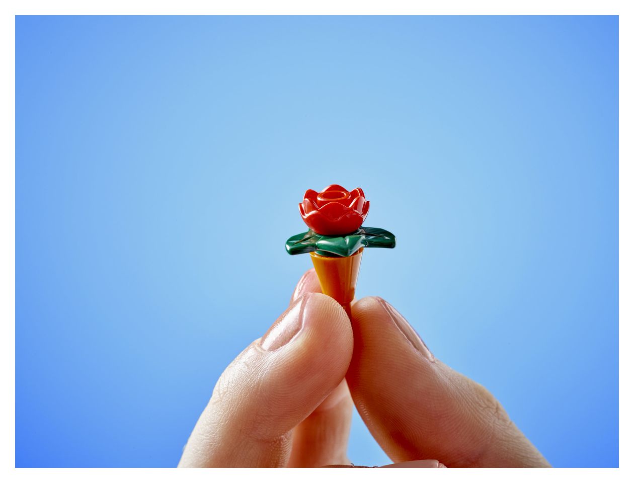 Pflanzencafé und Blumenkiosk 