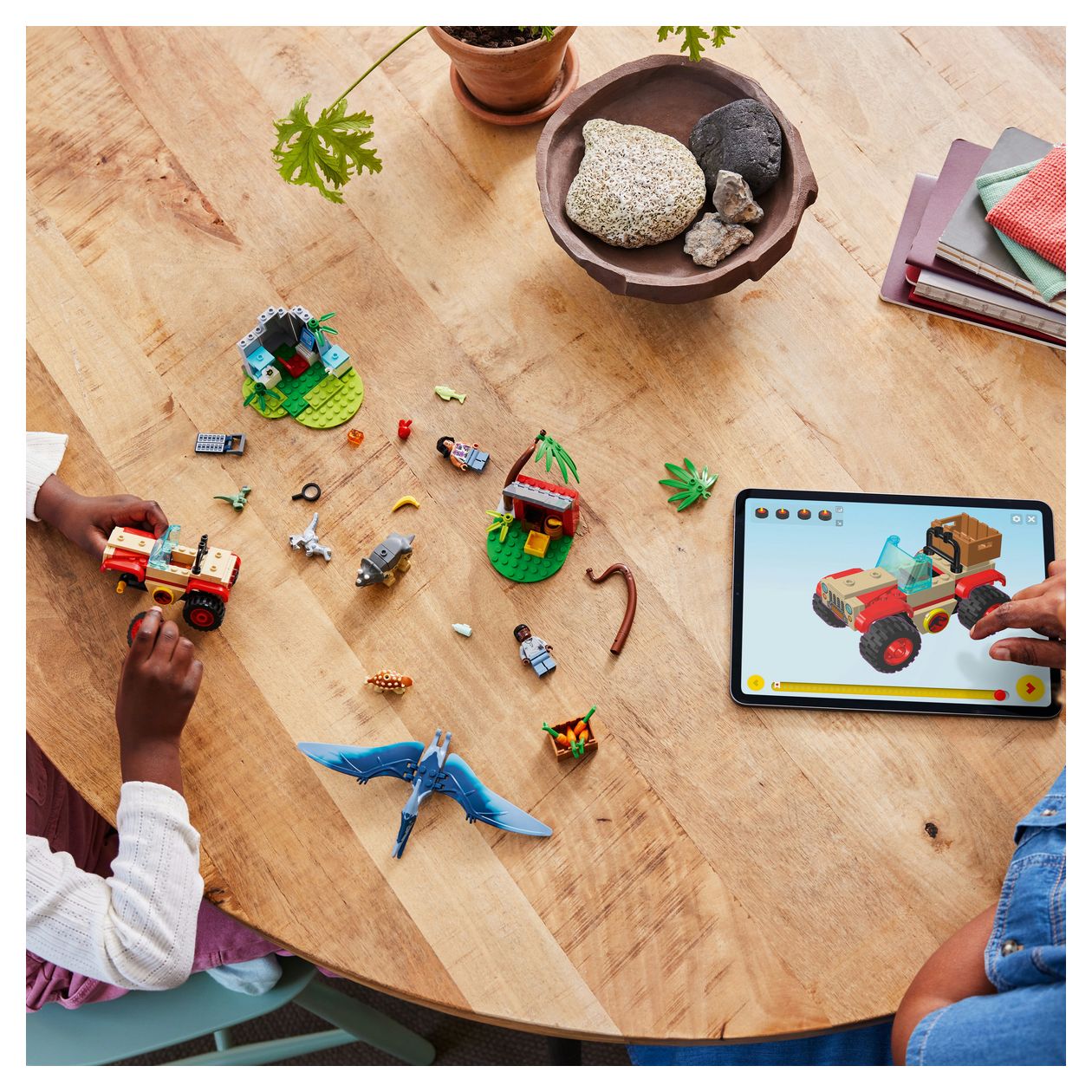 Rettungszentrum für Baby-Dinos 