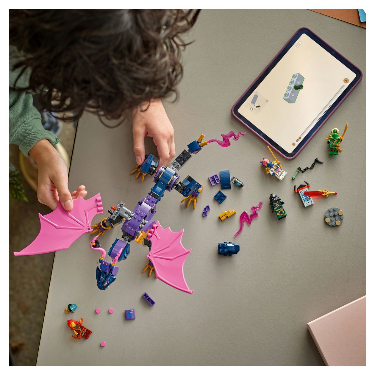 Rontu der Meisterdrache 