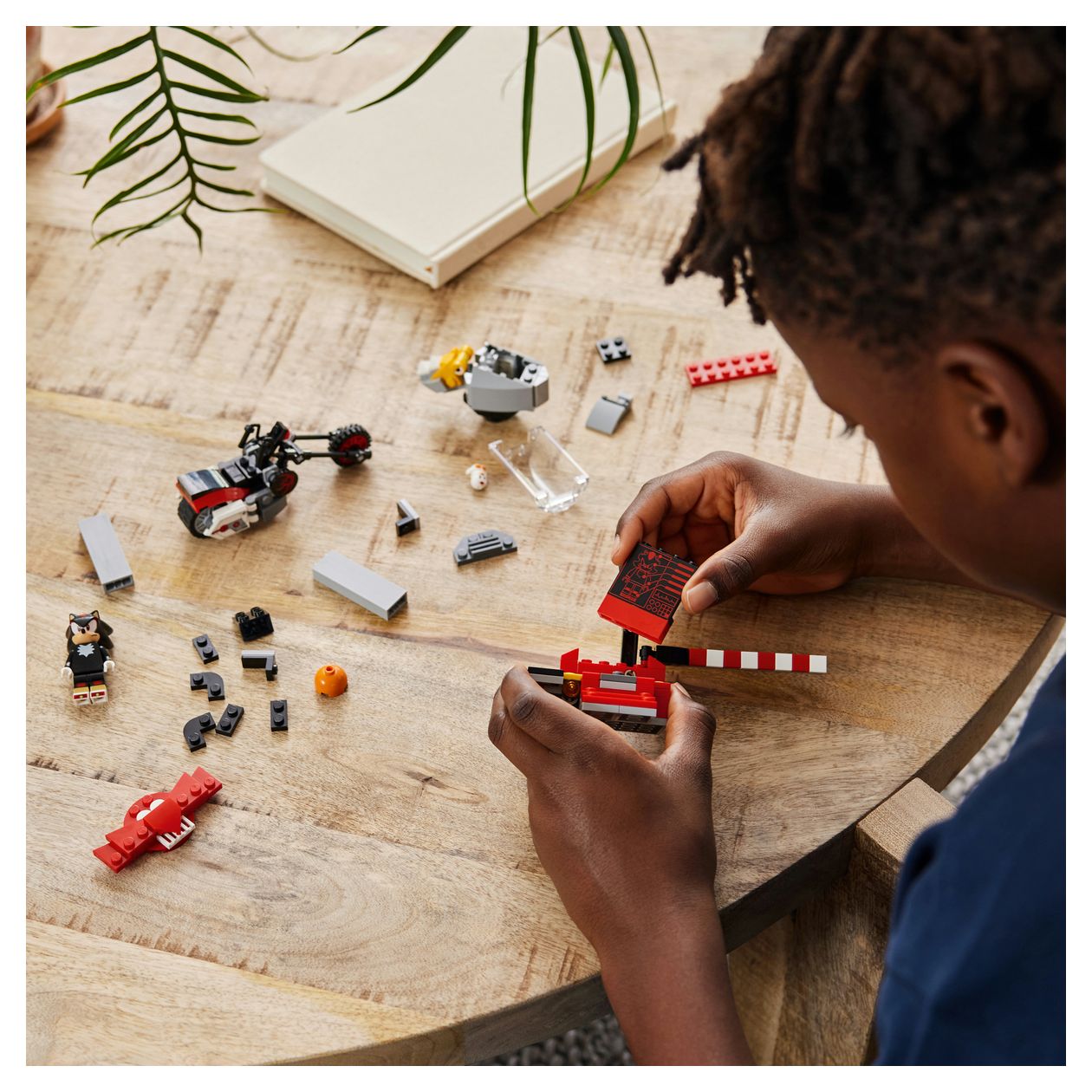 Shadow the Hedgehog Flucht 