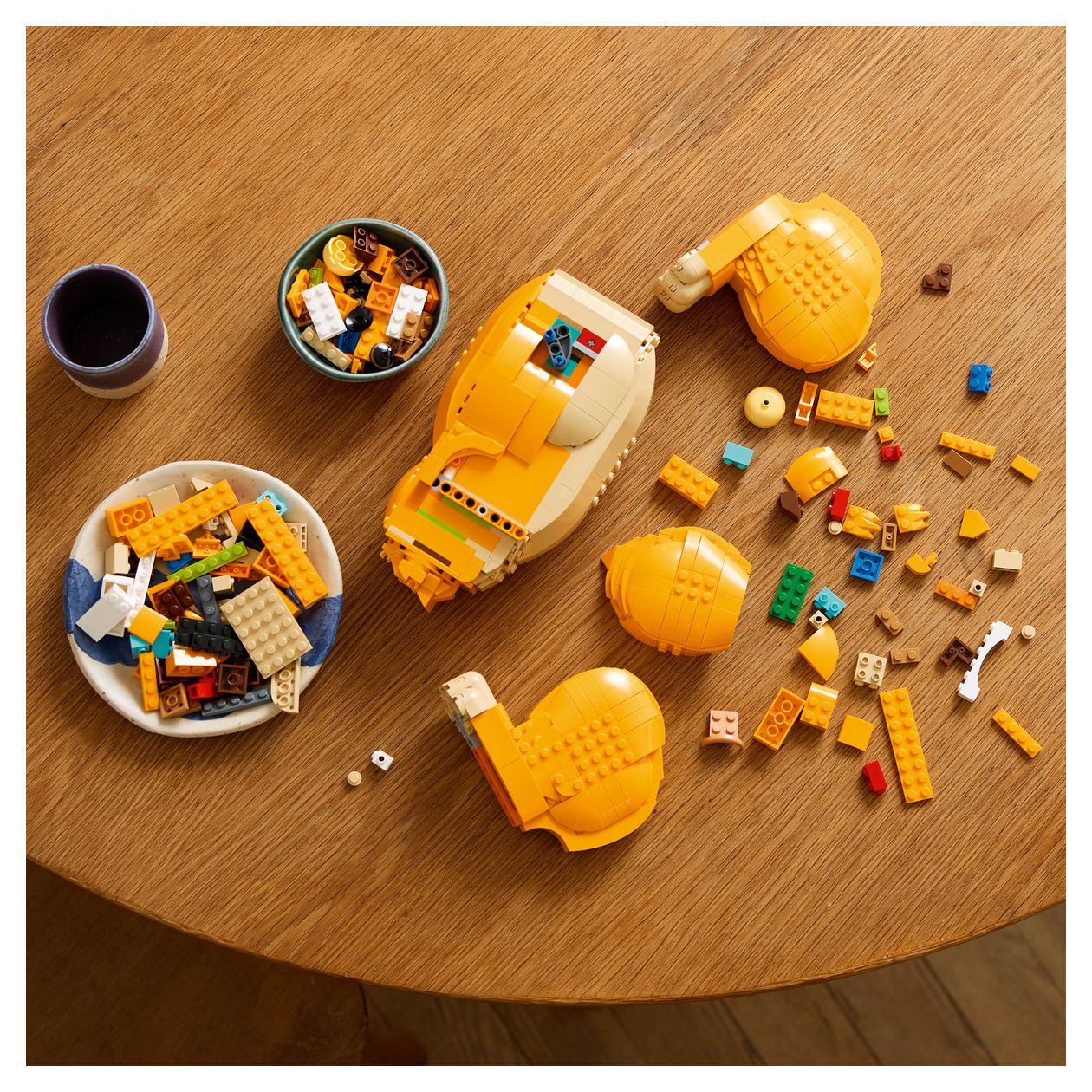 Simba, der junge König der Löwen 