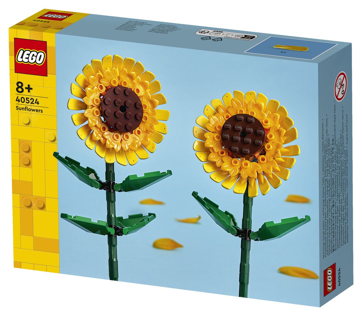 Sonnenblumen 