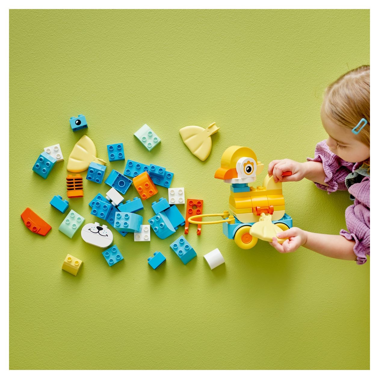Tiere auf Rädern 3-in-1-Set 