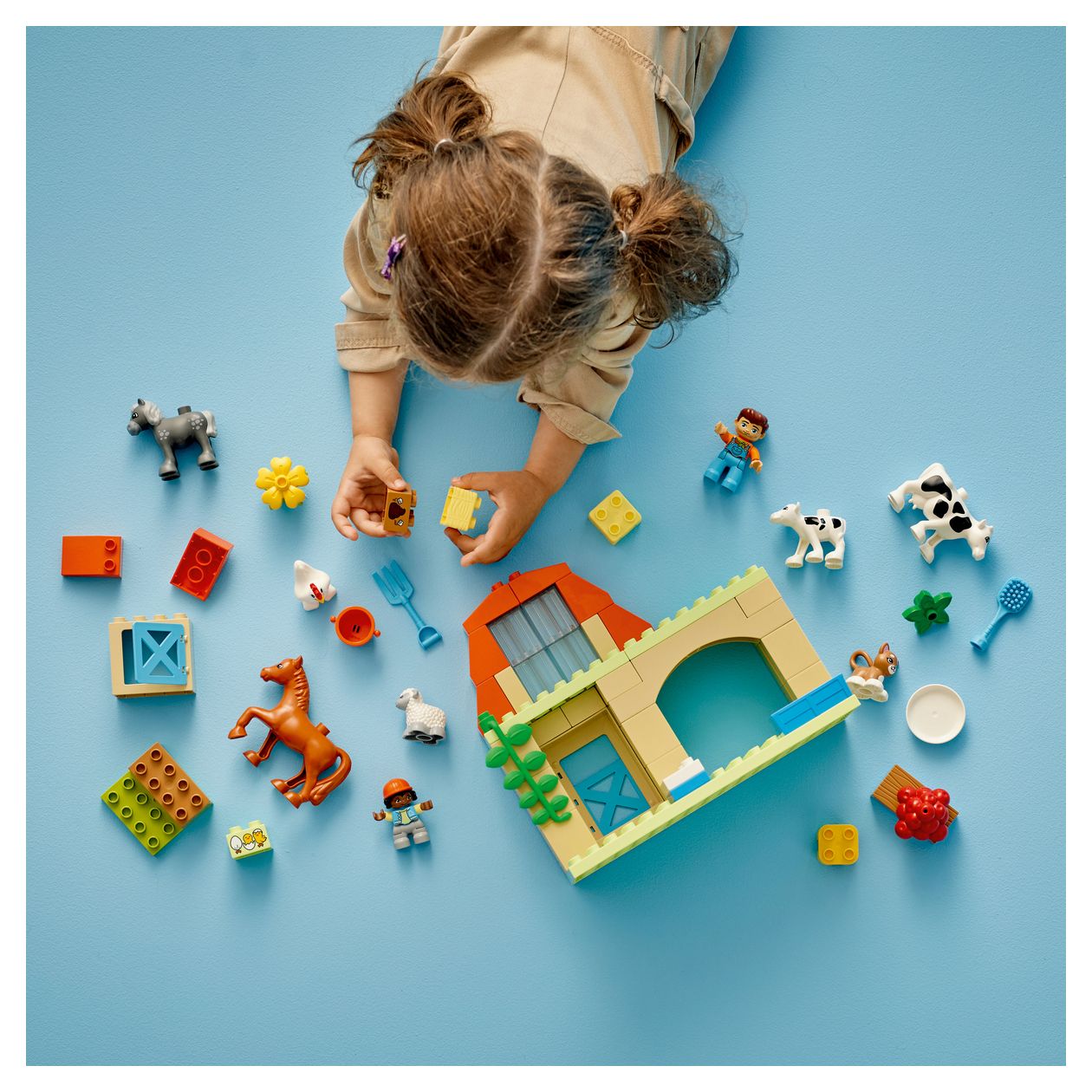 Tierpflege auf dem Bauernhof 