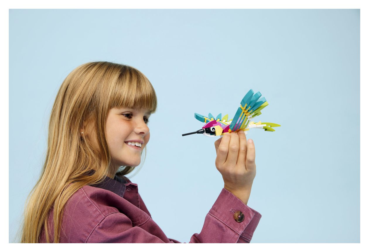 Wilde Tiere: Bunter Kolibri 