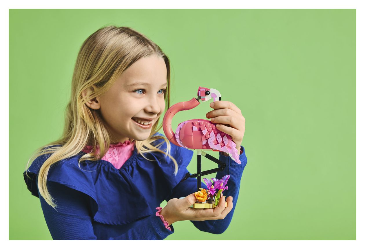 Wilde Tiere: Rosa Flamingo 