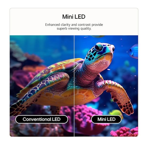 43QNED87B6A QNED 109,2 cm (43 Zoll) Fernseher 4K Ultra HD VESA 200 x 200 mm 