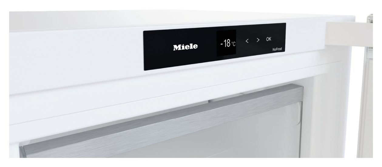 FN4312E 161 l Gefrierschrank 208 kWh Jahr NoFrost  (Weiß) 