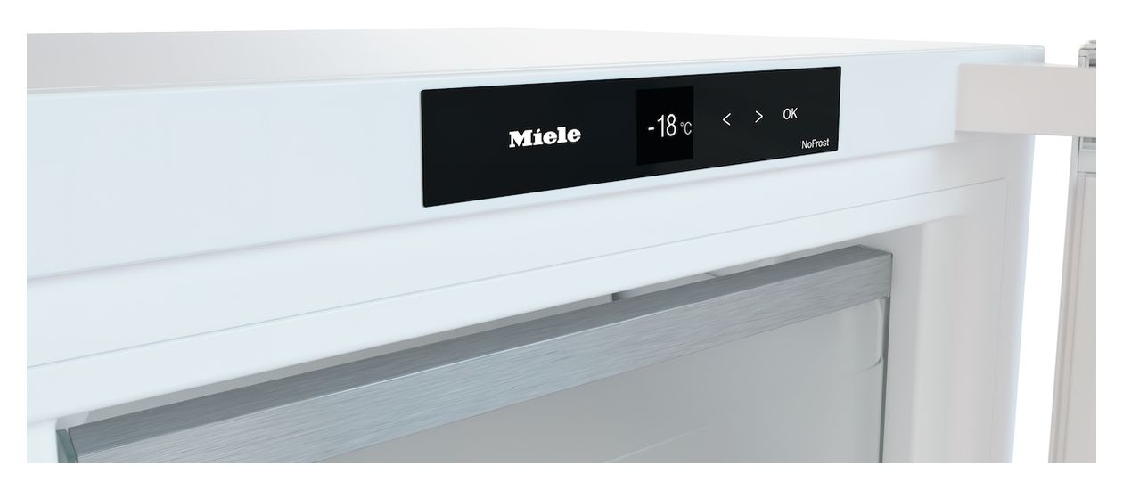 FN4372D 278 l Gefrierschrank 198 kWh Jahr NoFrost  (Weiß) 