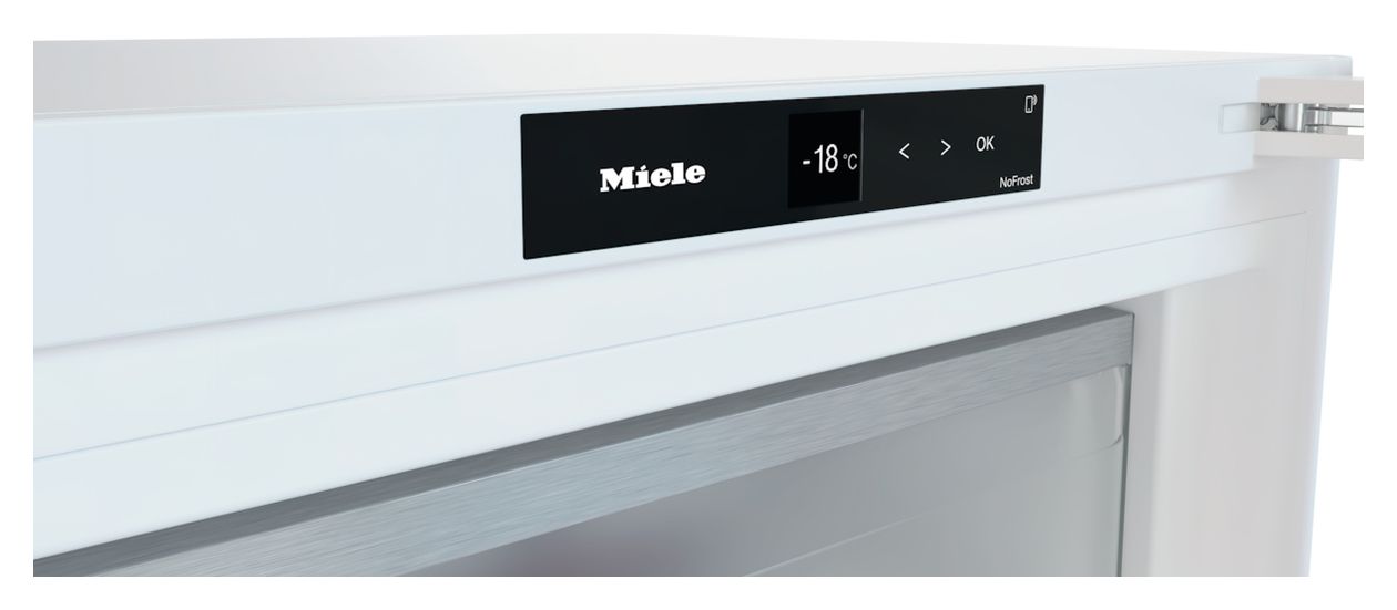 FN4778D 363 l Gefrierschrank 221,8 kWh Jahr NoFrost  (Weiß) 