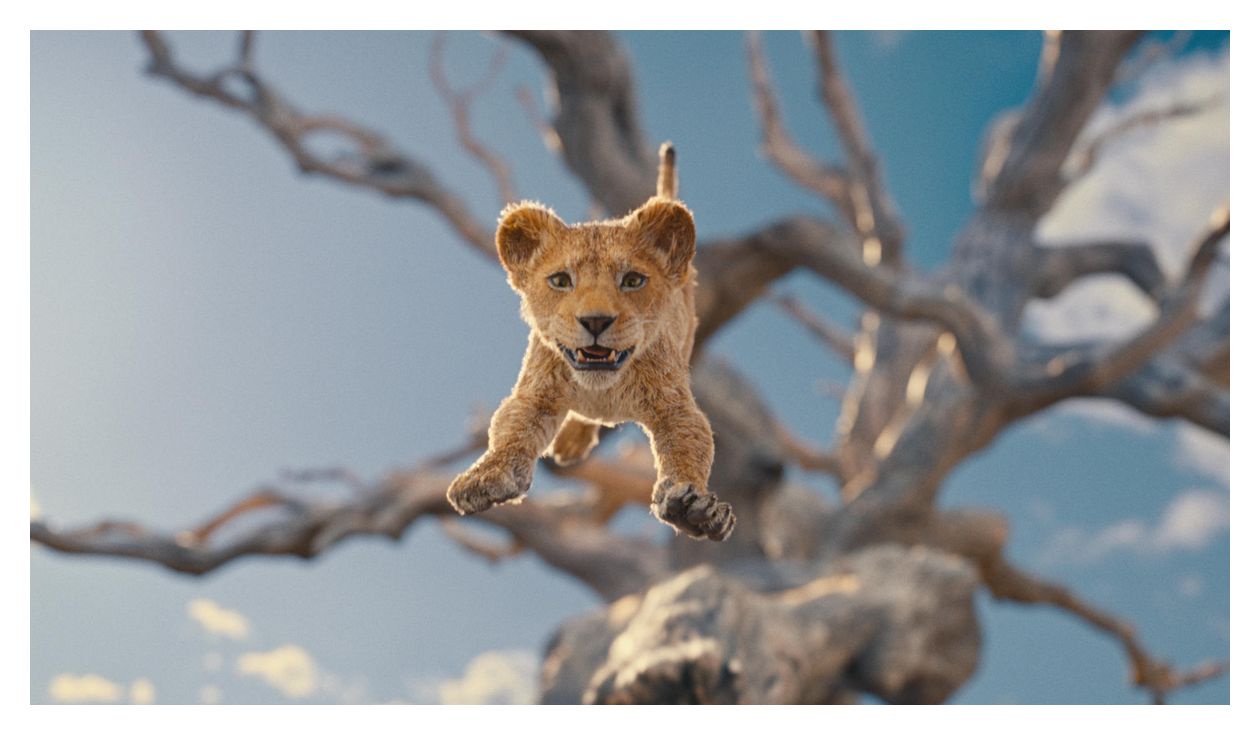 Mufasa: Der König der Löwen (DVD) 