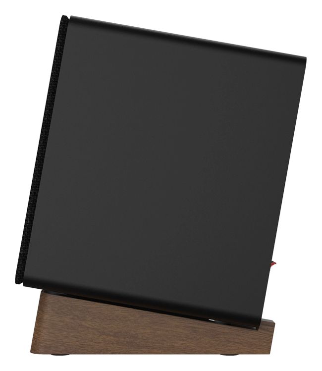 GX-10DB 30 W Bluetooth Lautsprecher  (Schwarz) 