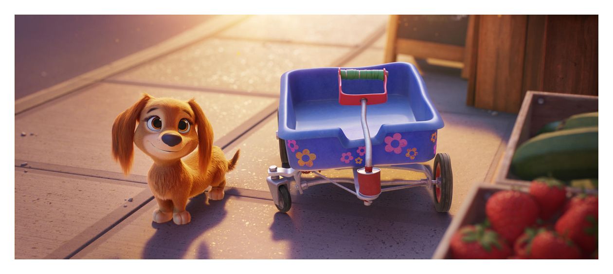 PAW Patrol: Der Mighty Kinofilm & PAW Patrol: Der Kinofilm (DVD) 