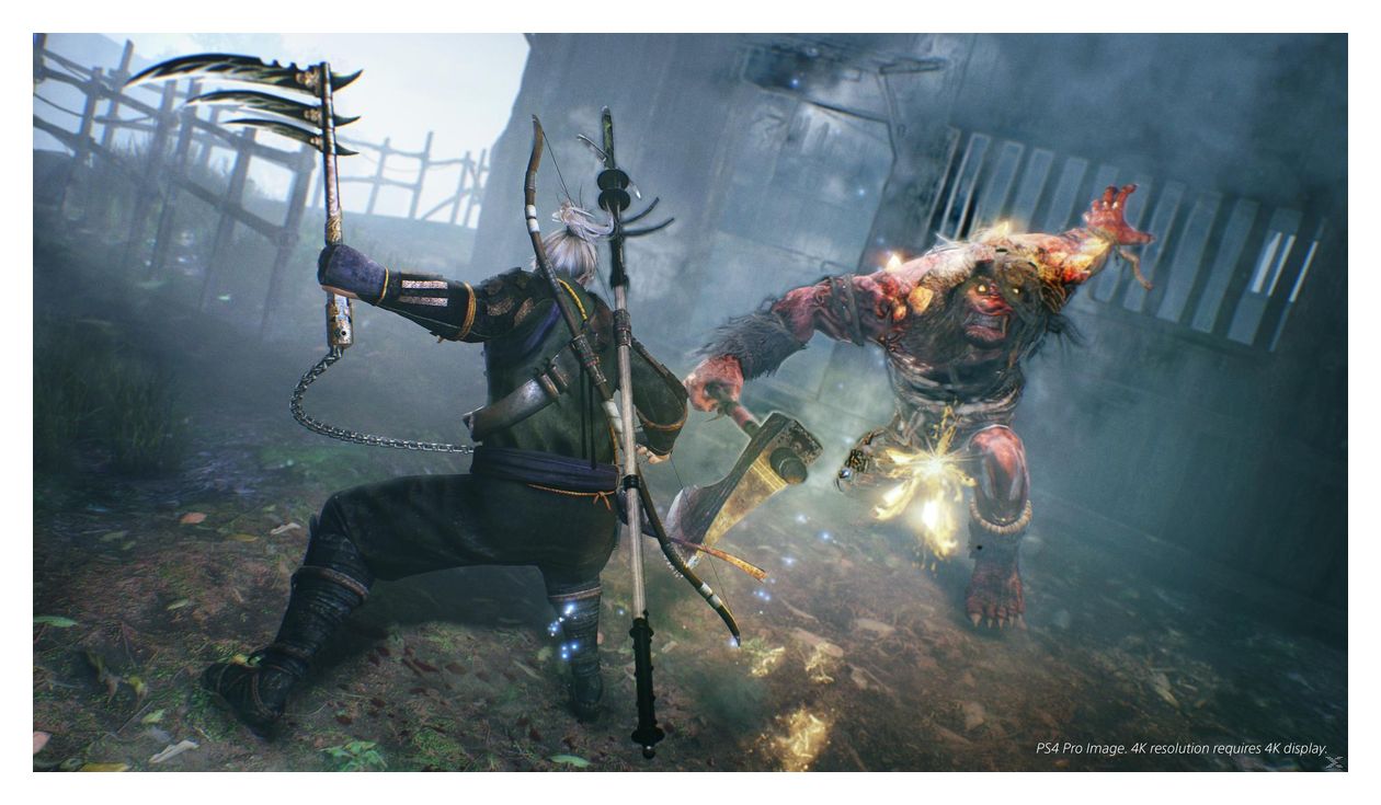 PlayStation Hits: Nioh (PlayStation 4) 