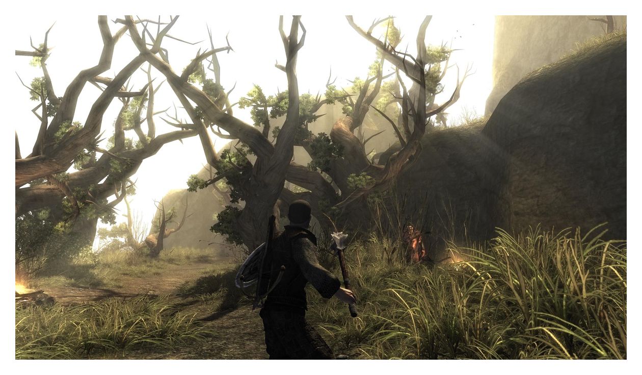 Risen (Nintendo Switch) 