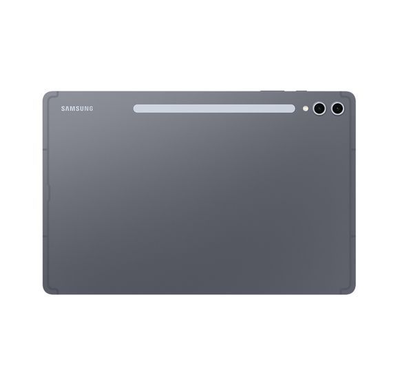 Galaxy Tab S10+ 256 GB Tablet 31,5 cm (12.4 Zoll) 2,0 GHz Android 13 MP (Moonstone Grey) 