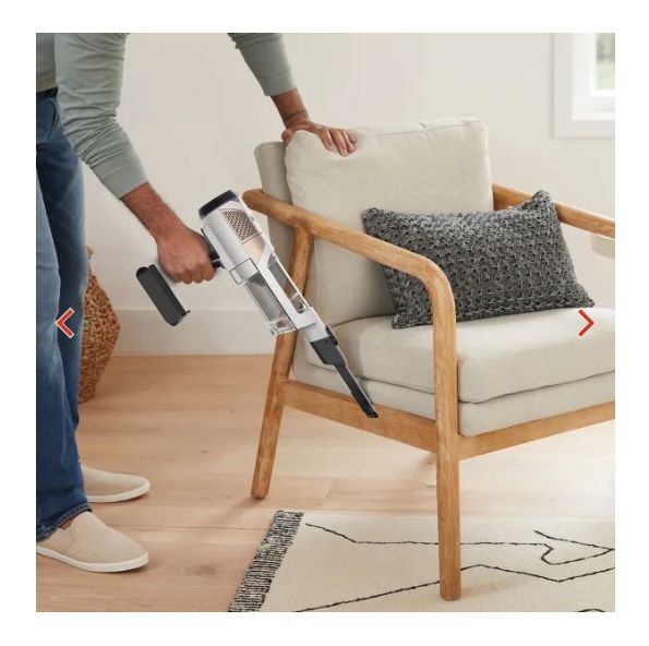 IW1611EU Detect Pro Handstaubsauger Beutellos bis 60 min Laufzeit  (Weiß) 