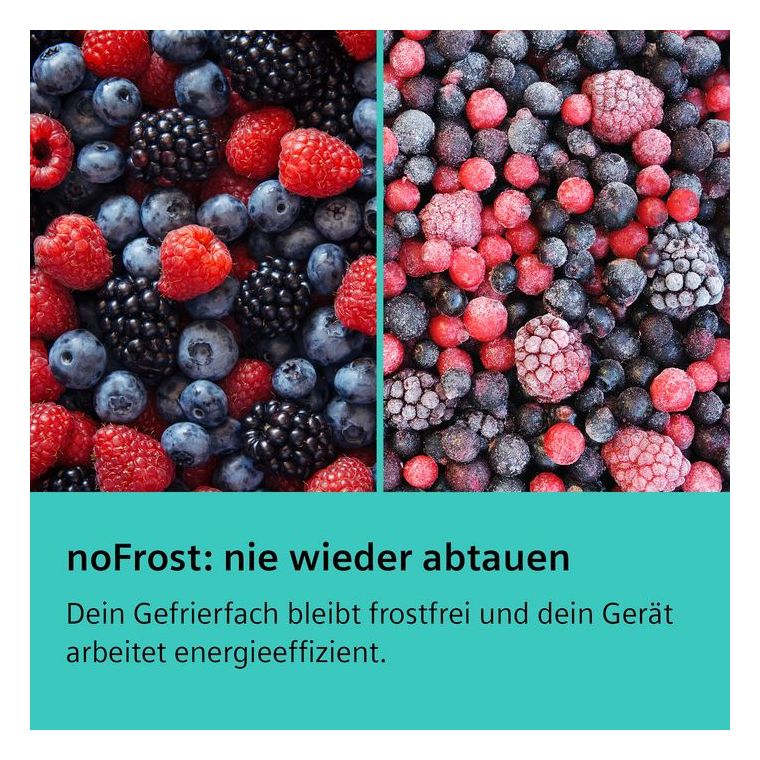 iQ500 KA95FPIEP Europäischer Side-by-Side Kühl-/ Gefrierkombination 309 l / 242 l NoFrost  (Edelstahl) 