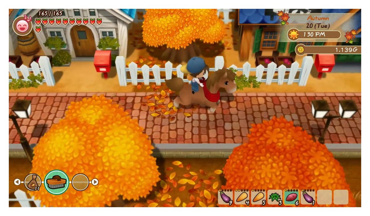 Story of Seasons: Friends of Mineral Town (PlayStation 4) 