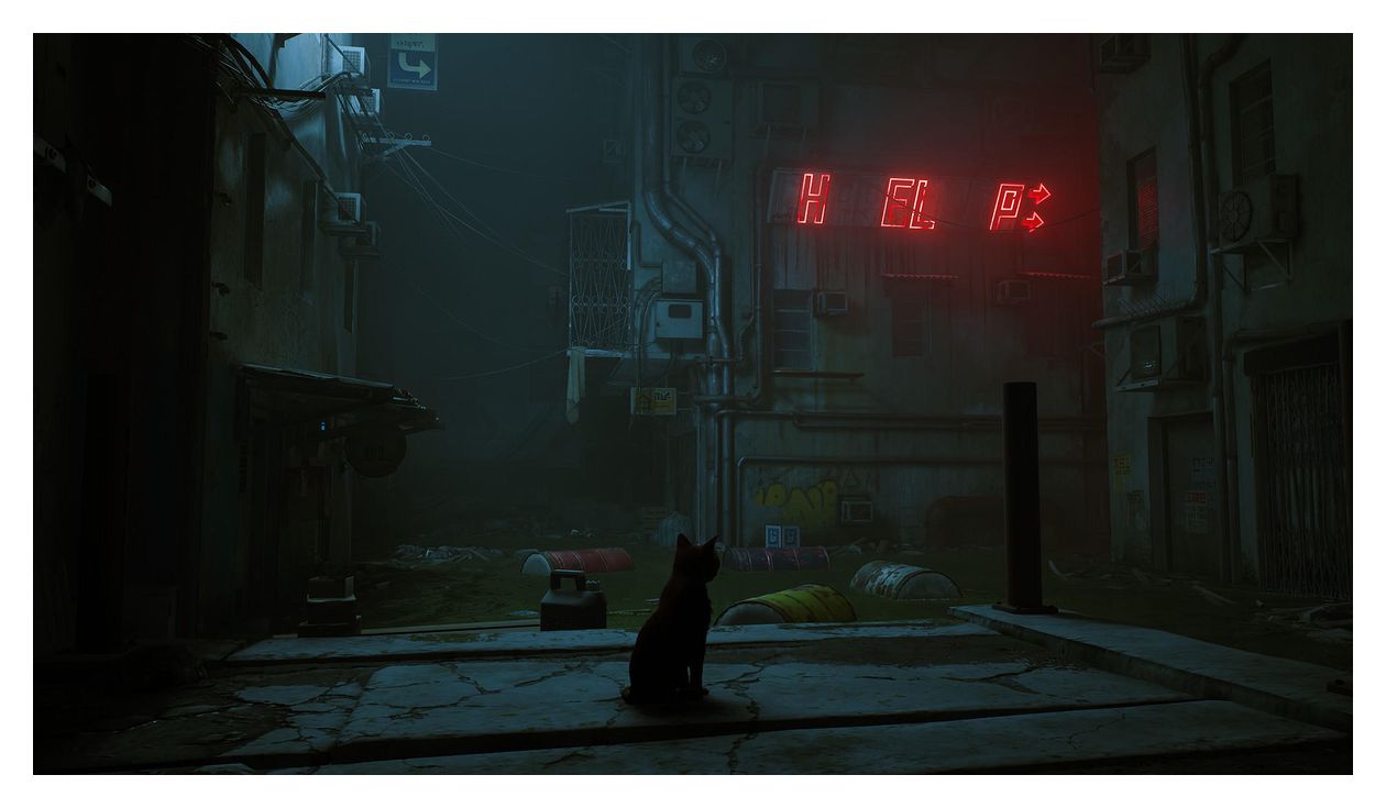 Stray (Nintendo Switch) 