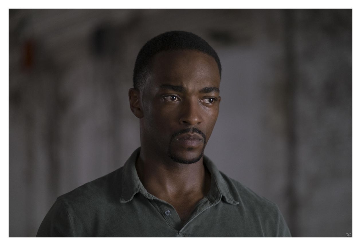 The First Avenger: Civil War (Blu-Ray) 