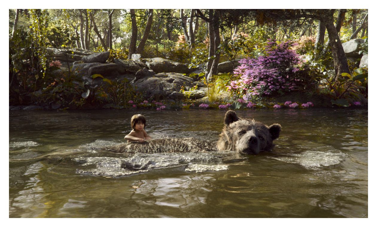 The Jungle Book (DVD) 