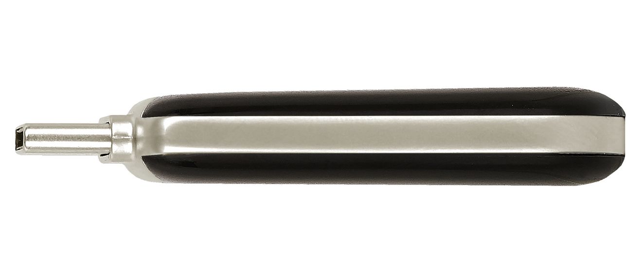 Plectra USB Typ-C Stick 64 GB  (Schwarz) 