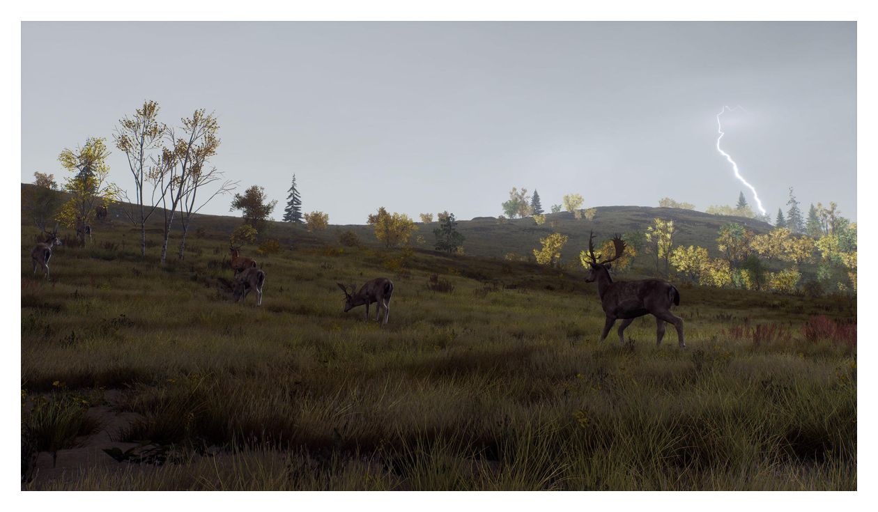 Way of the Hunter - Wild Expeditions (PlayStation 5) 
