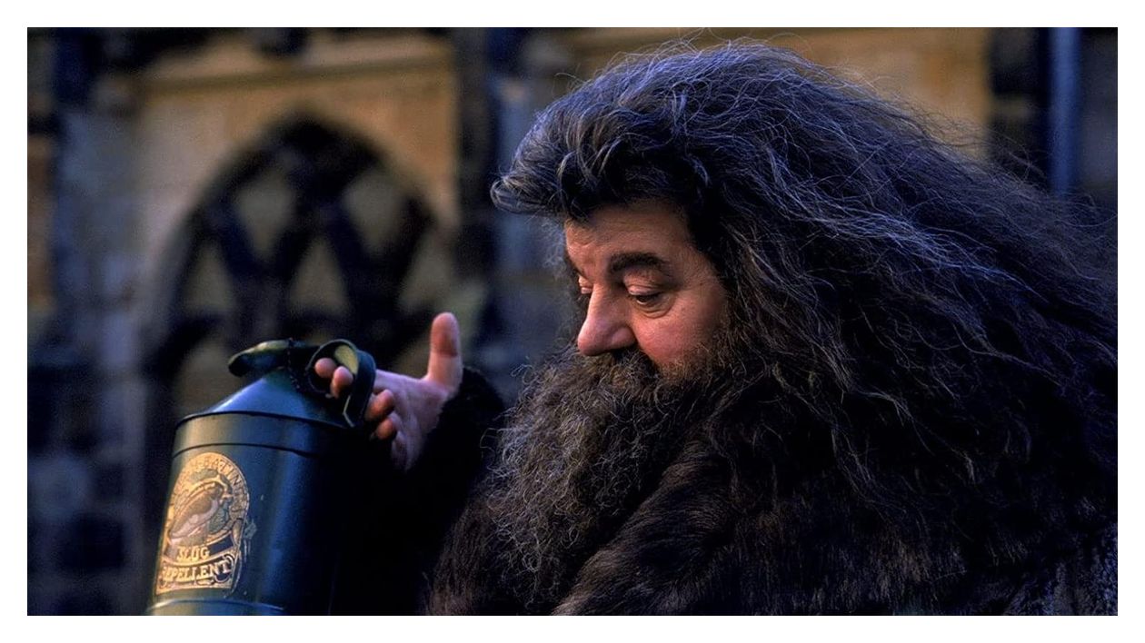 Wizarding World 11-Film Collection (Blu-Ray) 