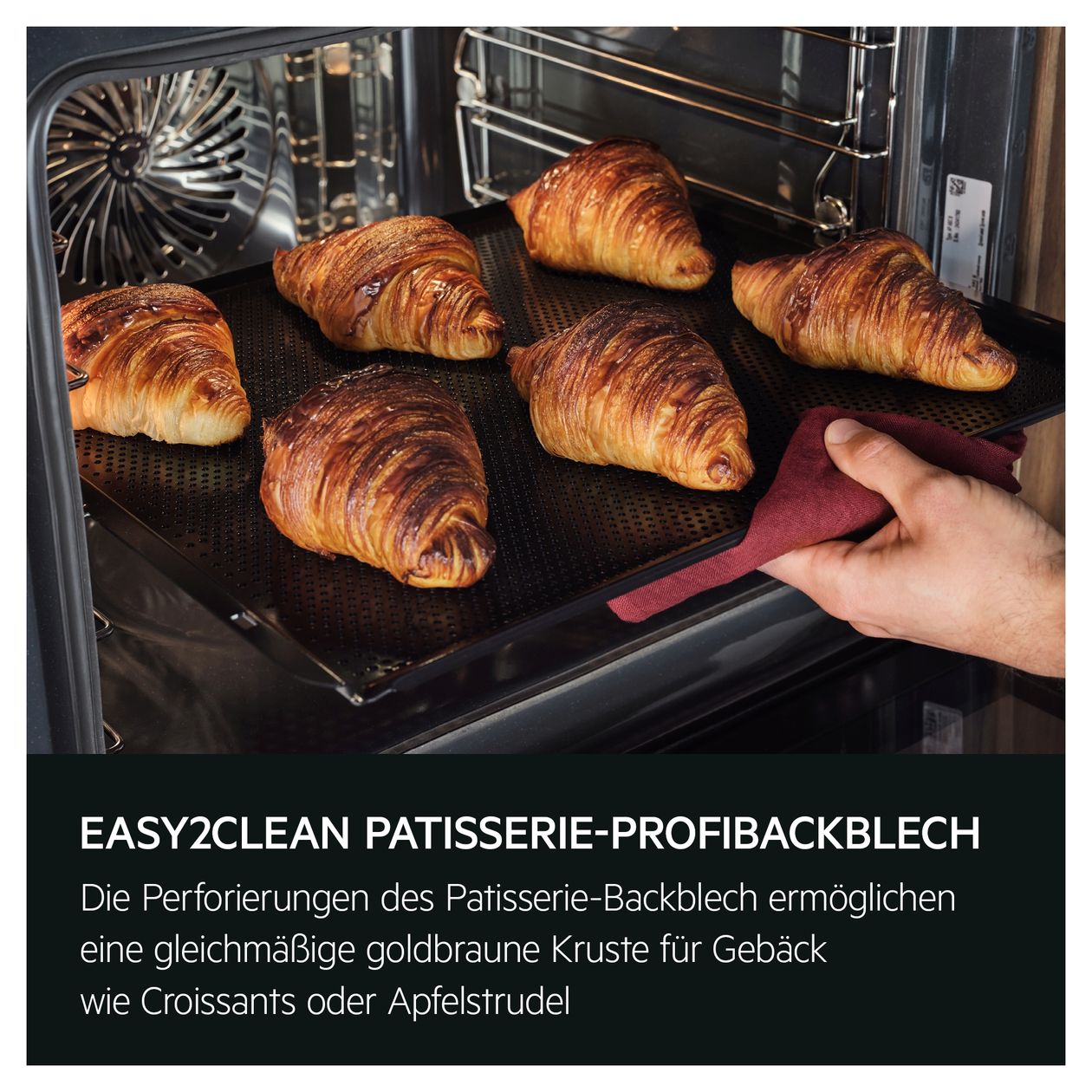 Serie 9000 TP9SK821T Einbaubackofen kompakt Dampfgaren AutoClean 
