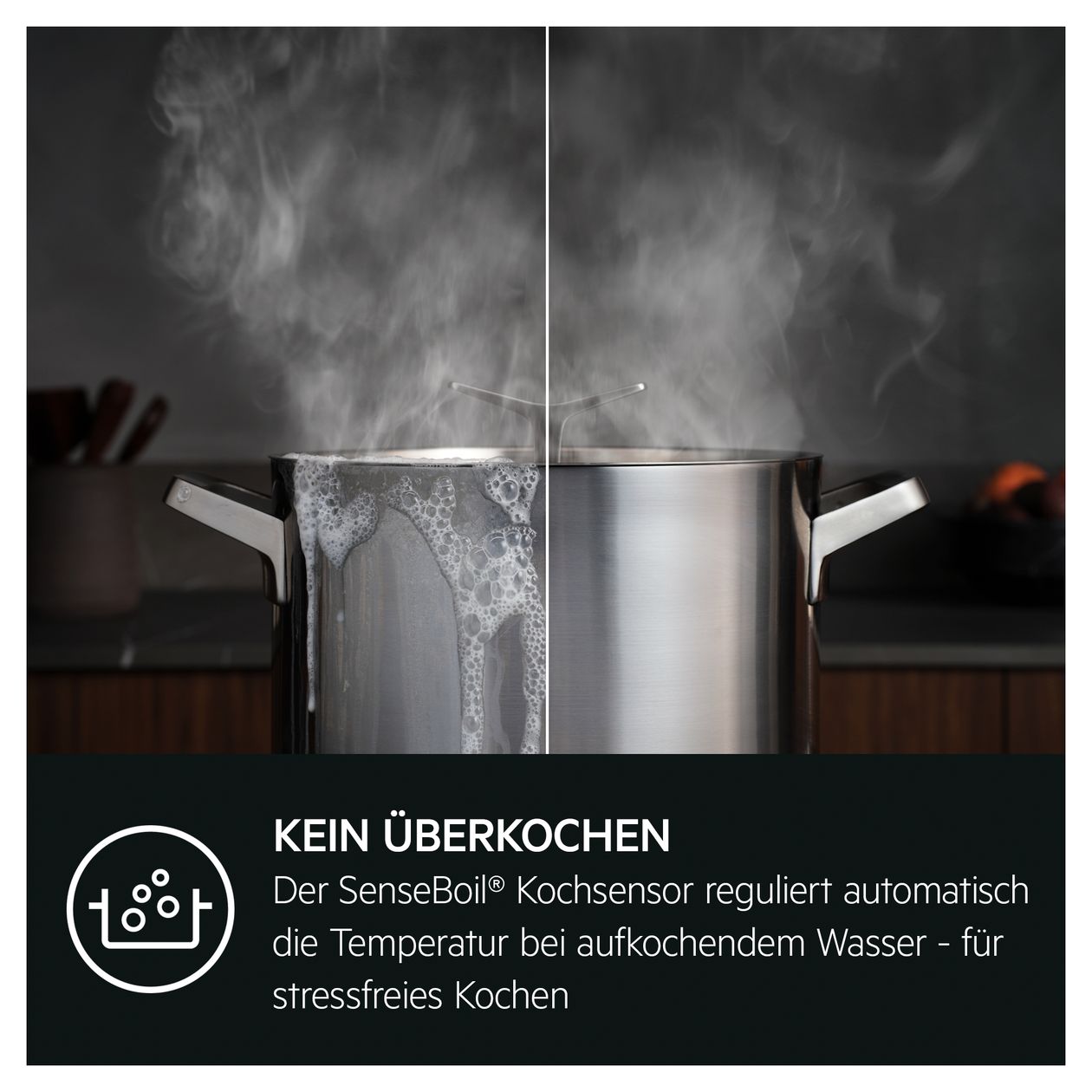 TI64IB1BIZ autarkes 60 cm Induktions Kochfeld/Herdplatte 4 Zone(n) 