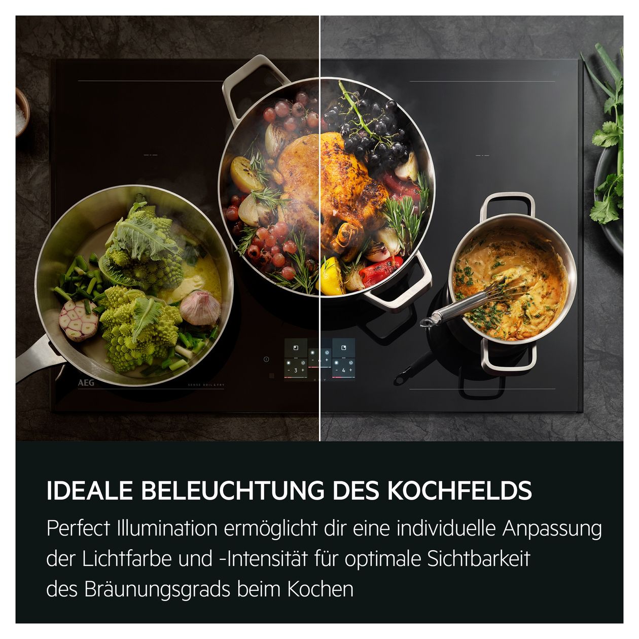 TP66D61HZ Abluft/Umluft Dunstabzugshaube/Esse Einbau 60 cm (Schwarz) 