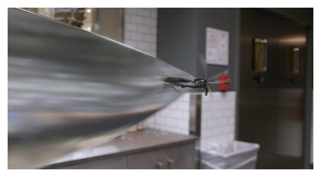 Ant-Man and the Wasp (Blu-Ray) 