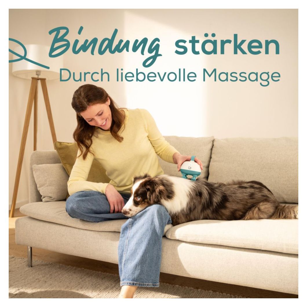 PP410 Buddy Massagegerät für Hunde und Katzen 