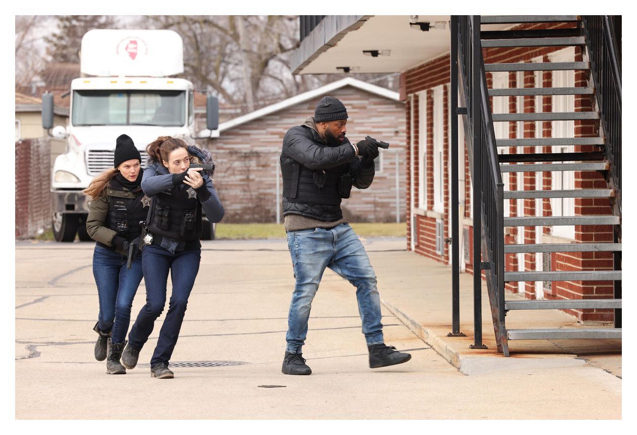 Chicago P.D. - Staffel 11 (DVD) 