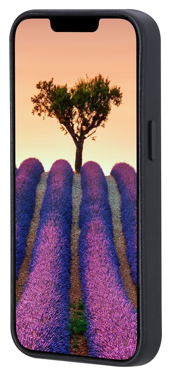 Roskilde Cover für Apple iPhone 17e/16e  (Schwarz) 