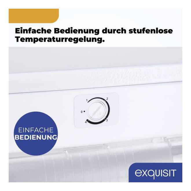 GS230-H-050C 177 l Gefrierschrank 123 kWh Jahr  (Weiß) 