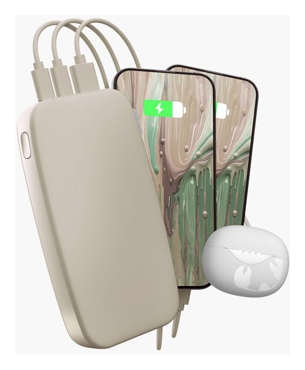 2PB24100 24000 mAh Powerbank USB Typ-C  (Silky Sand) 