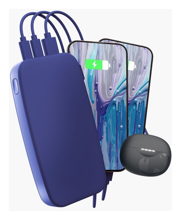 2PB24100 24000 mAh Powerbank USB Typ-C  (True Blue) 