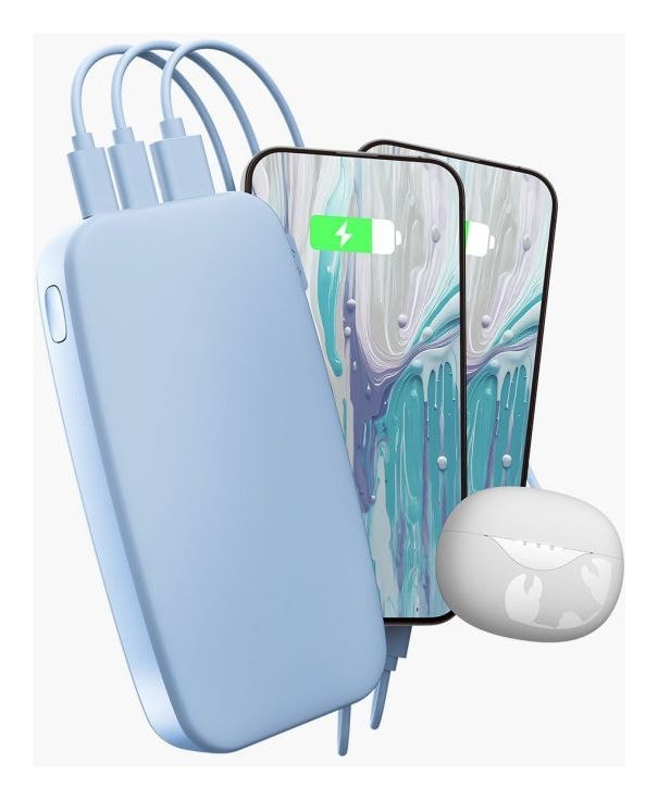2PB24100 24000 mAh Powerbank USB Typ-C  (Vivid Blue) 