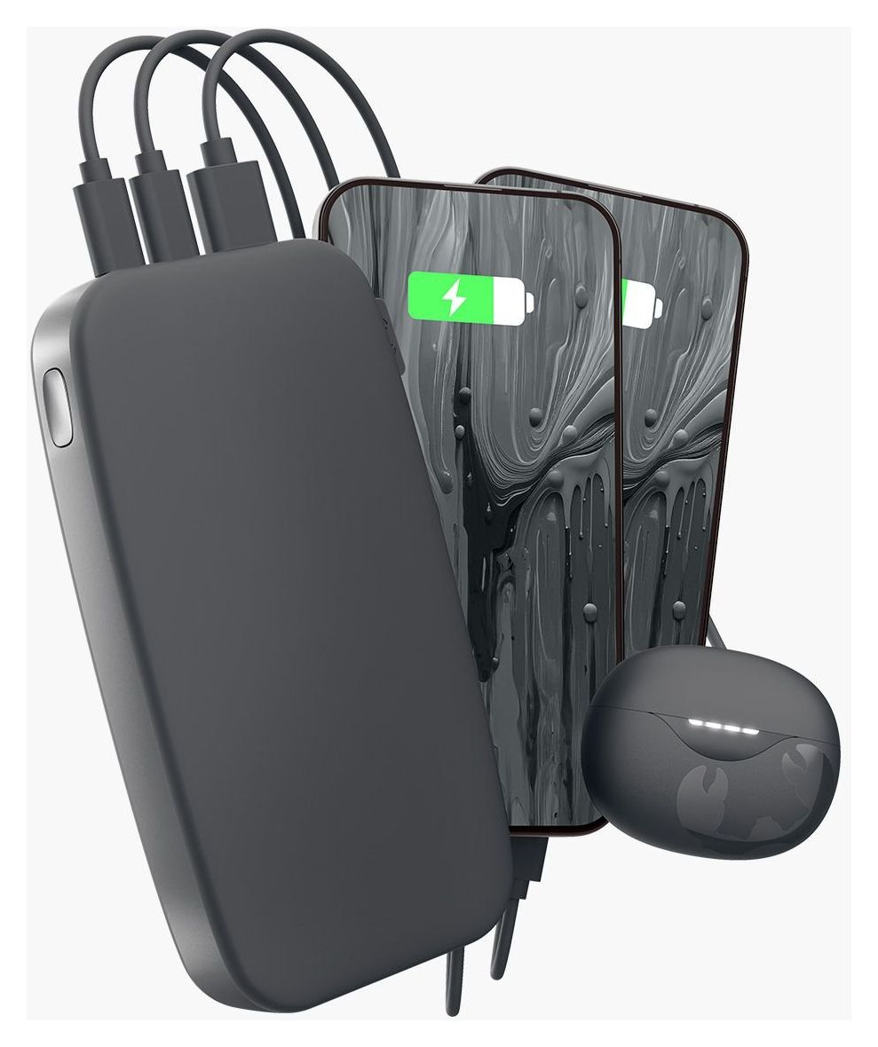 2PB24100SG 24000 mAh Powerbank USB Typ-C  (Grau) 