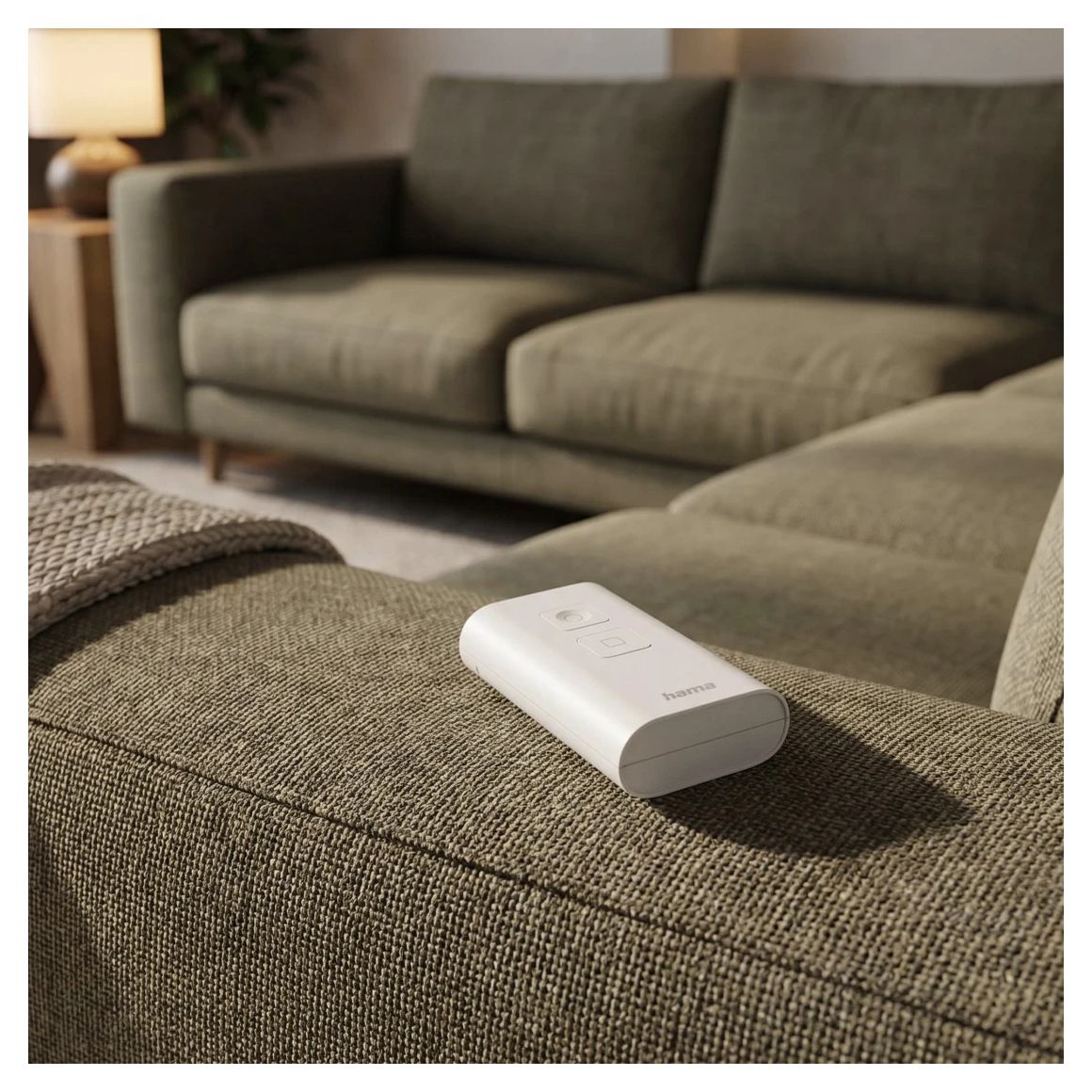 176968 Smart-Button 2 Tasten Fernbedienung 