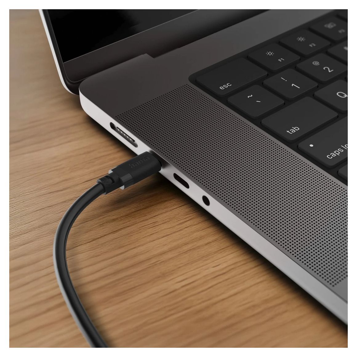 201806 0,48 Gbit/s USB C auf USB C Männlich 1 m  (Schwarz) 