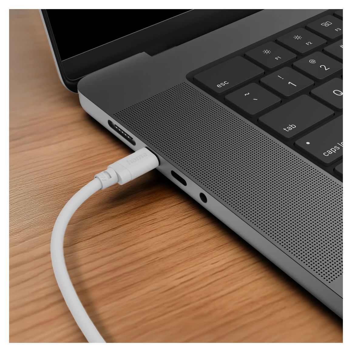 201809 0,48 Gbit/s USB C auf USB C Männlich 2 m  (Weiß) 