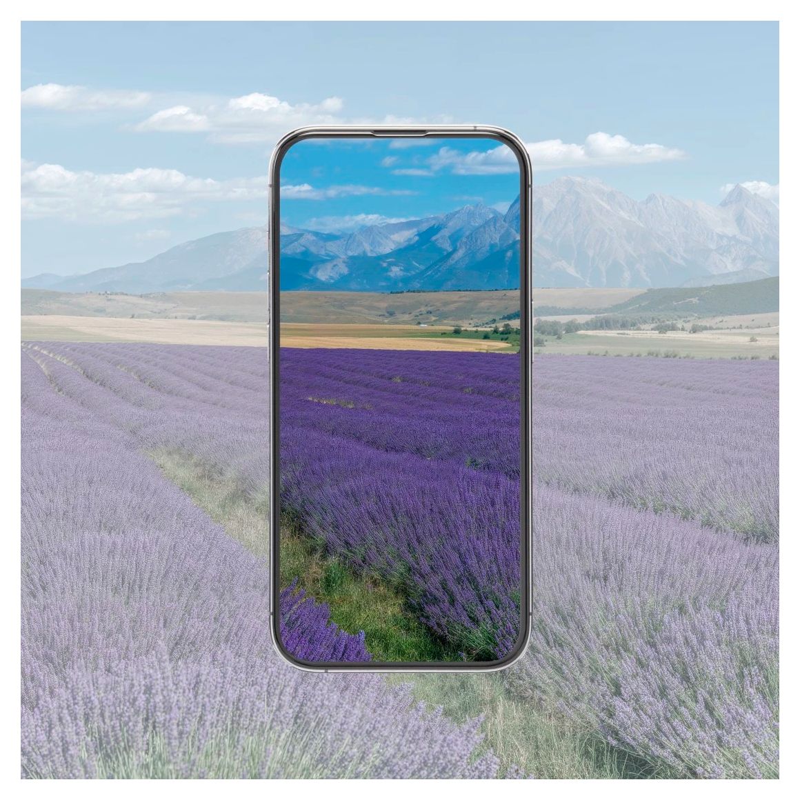 233319 Reflect Protect Klare Bildschirmschutzfolie Glas 10H für  Apple iPhone 17 Pro / 18 Pro Schlagfest, Kratzresistent, Splitterfrei, Stoßfest, Schlagfest 