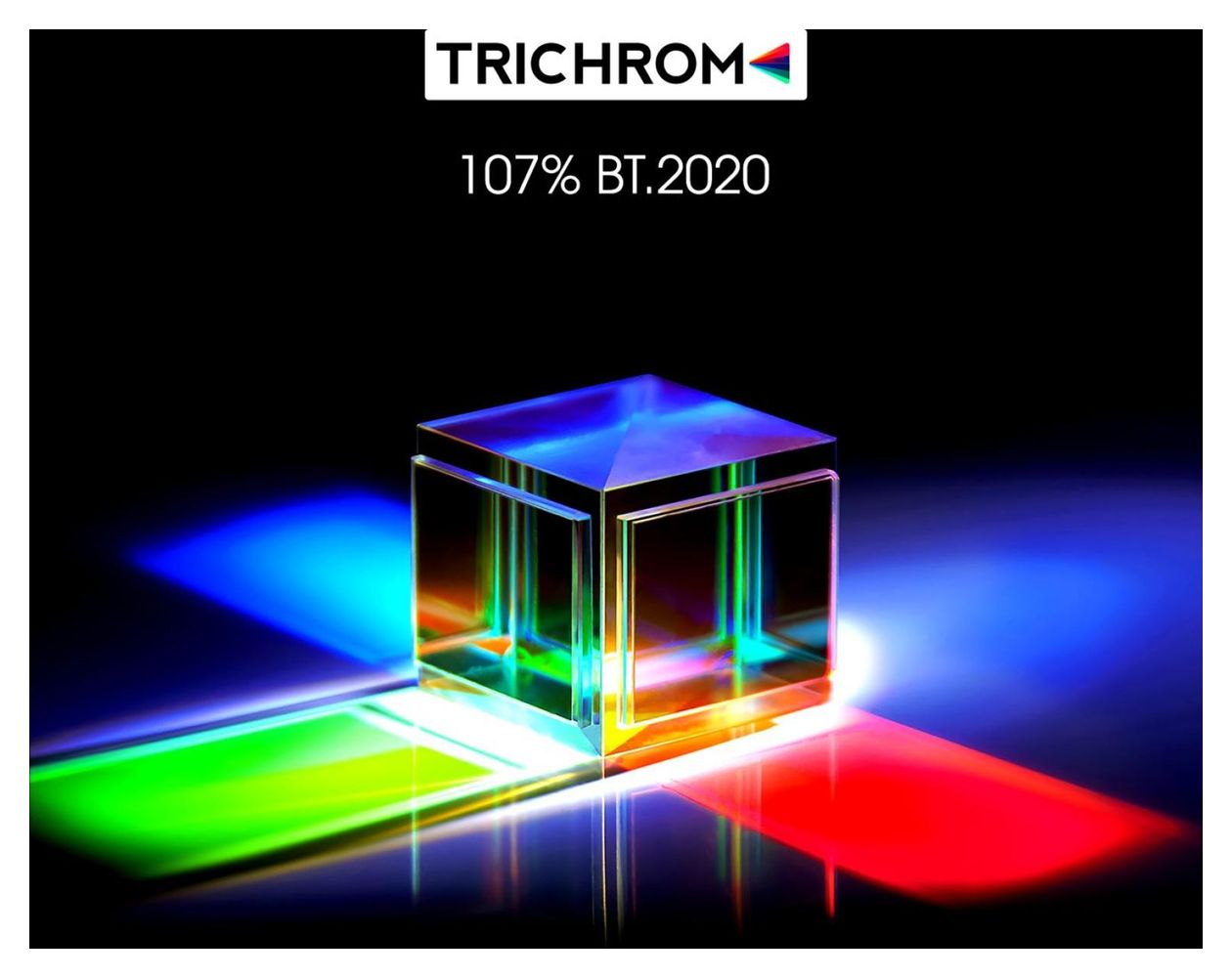 100L9HD 4K Laser TV inkl. Soft Daylight Screen 2,54 m (100 Zoll)  (Schwarz) 