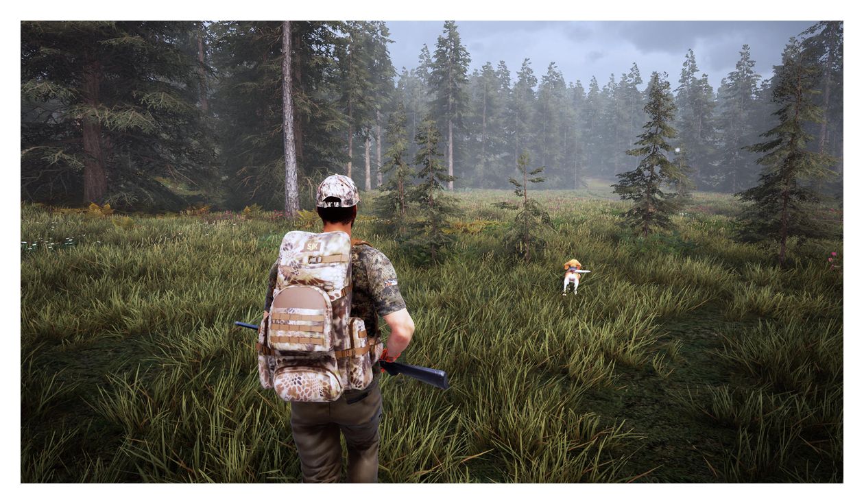 Hunting Simulator 2 